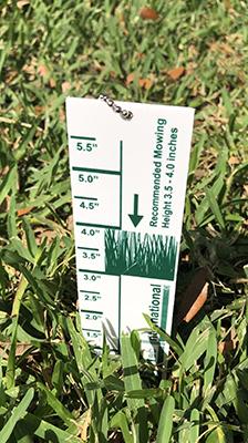 The Turf-Tec Grass Lawn height cut gauge is designed for most home lawn grass. The 1/8 inch thick plastic gauge shows the proper cutting height of 3.5 to 4.0 inches for Saint Augustine Grass, Tall Fescue, Bluegrass and Ryegrass varieties.