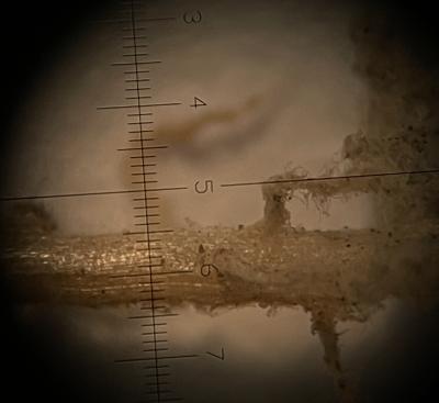 Sample of turfgrass root image at 20X shown through Macroscope monocular 20x power scope