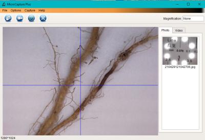 Samples of screen view using software included with Turf-Tec USB Digital Microscope with 5 Mega Pixel Camera for still photo or video capture