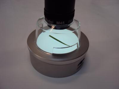 Macroscope Light Table