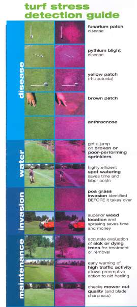 Identify Anthracnose, Identify Yellow Patch or Rhizoctonia, Identify Pythium, Identify Fusarium Patch, Identify Brown Patch, Identify Poa-Annua, See locations of weeds for spot spraying, Spot Tree Stress, Determine Quality of Cut, See dry spots and hydrophobic conditions, Identify hot spots for syringing or hand watering, Identify traffic wear.  The Stress Detection Glasses are also ideal for small farms to large agricultural production.