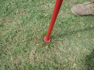 Insert the Turf-Tec WeedAway into weeds center. 