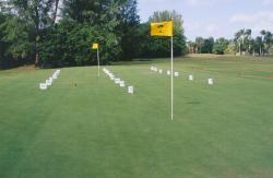 Johnathans Landing Golf Club, Palm Beach, FL. James Greer, Superintendent.  NTEP Tuirfgrass trials with Ultra Dwarf varieties being maintained on golf course.