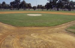 This is the Lakewood Complex in the City of St. Petersburg.  The Outfield is maintained by the city and the grass infield is maintained by the boosters.  A real joint effort.