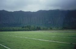 This is Quality Turfgrass Farm fields owned by Tom Staton, in Waimanalo, HI.  www.qualityturfgrass.com