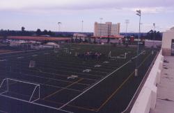 The STMA Tour also took us to San Diego State University where Ron Hostick is Sports Turf Manager.  This is one of their artificial turf fields.  It is permanently lined in white for football and yellow for soccer.