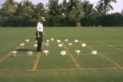 This is Dr. George Snyder speaking at the South Florida Turfgrass Expo at the University of Florida Campus in Davie, FL.  Dr. Snyder is speaking about the effects of sodium on Bermudagrass.